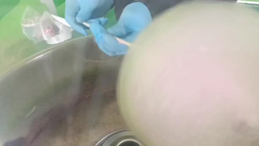 ثانوية الإشراق  عاليه