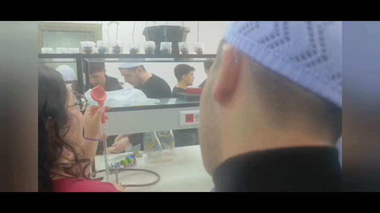 ثانوية الإشراق  عاليه